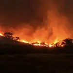 Kebakaran Gunung Arjuno-Welirang Meluas ke Wilayah Kota Batu